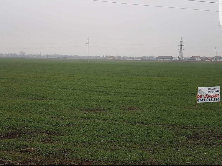Teren Construcții intravilan de 8400 mp, în Roznov