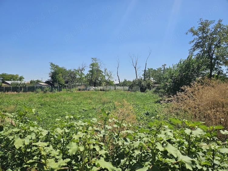 Teren de 856 mp, în Padina