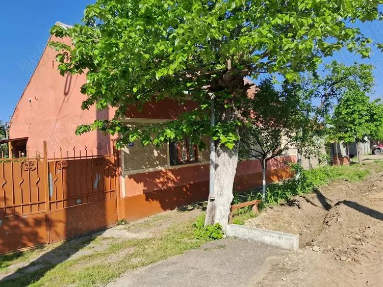 Casă cu 4 camere cu Teren 1870 Mp în Mânăstire