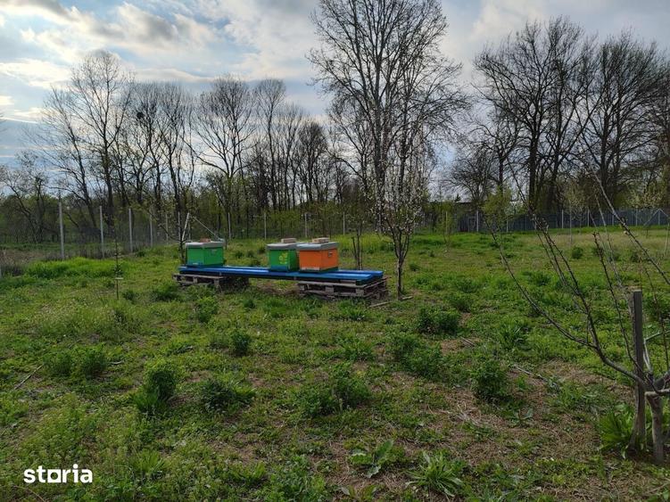 Casă cu 5 camere cu Teren 4000 Mp în Florești
