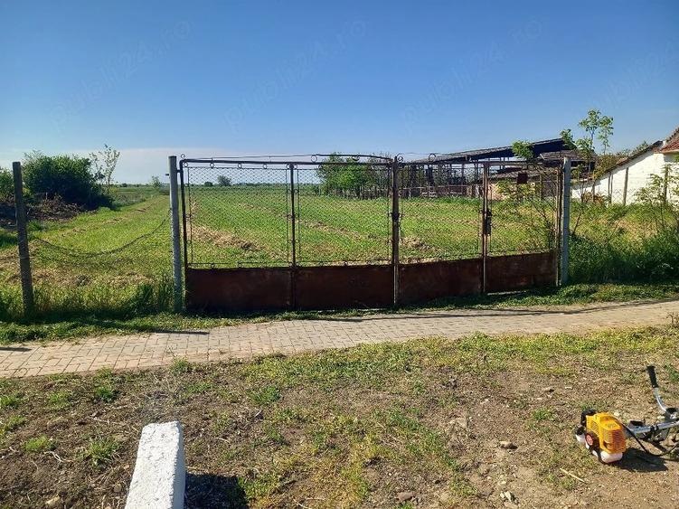 Teren de 2900 mp, în Comloșu Mare