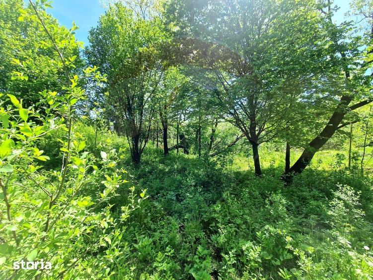 Teren de 8300 mp, în Mărgineni