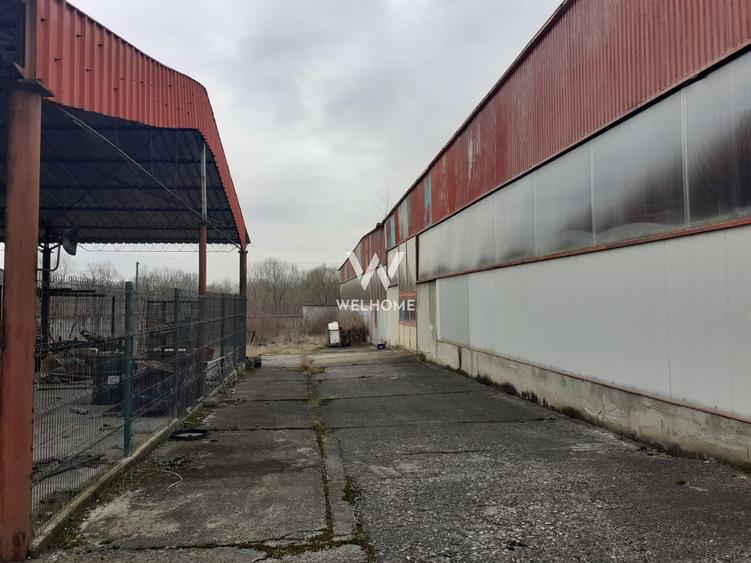 Hala de productie/depozitare si teren 15000 mp - Marsa -Sibiu - 4