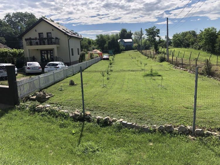 Teren casa, 1170mp, 16.5m deschidere,intravilan,asfalt,utilitati - 2