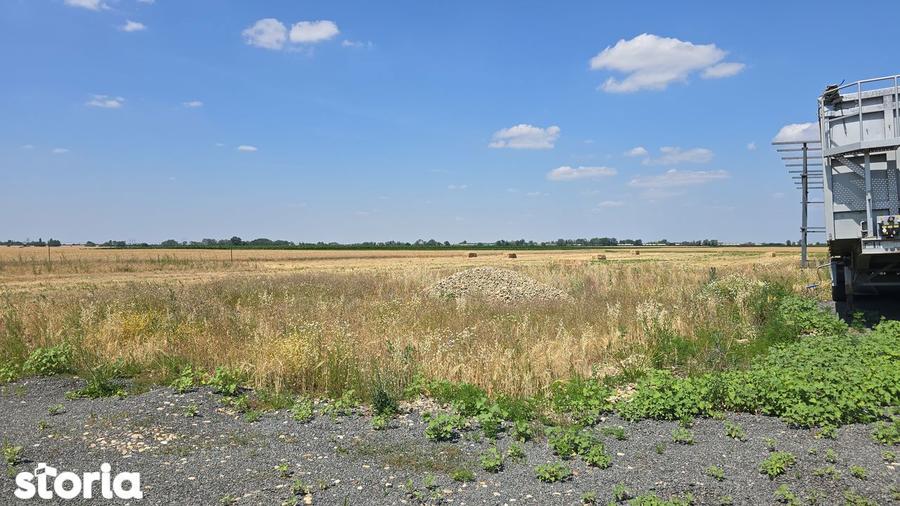 Teren intravilan 564 mp Zimandcuz - 4