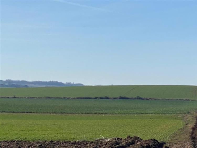 RECO Teren  pentru investitie  4ha Tauteu-Zona Autostrazii Transilvania - 1