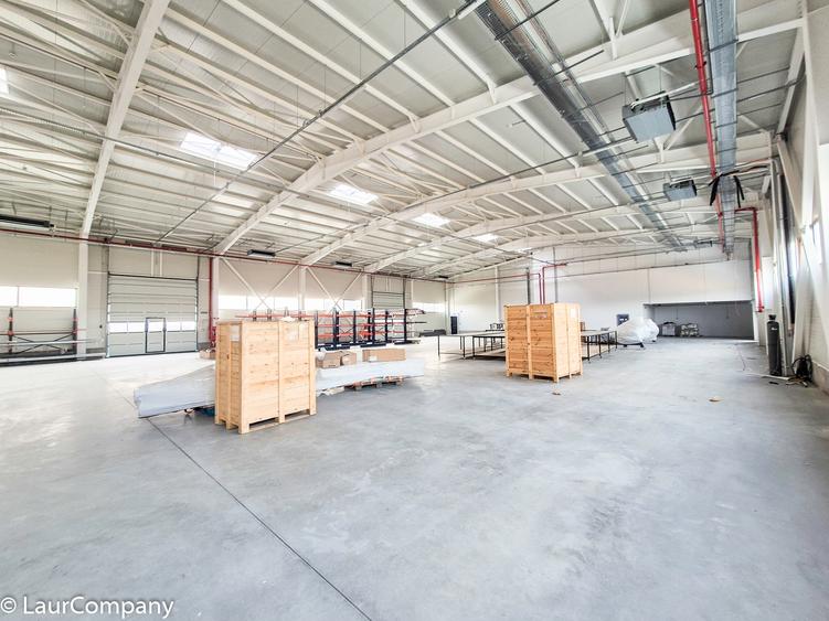 Hale,spatii industriale Albota,Pitesti Arges - 13