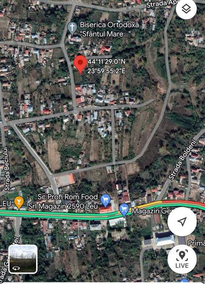 Vand 2248 mp (teren intravilan+ casa), Leu , jud Dolj livada pomi - 3