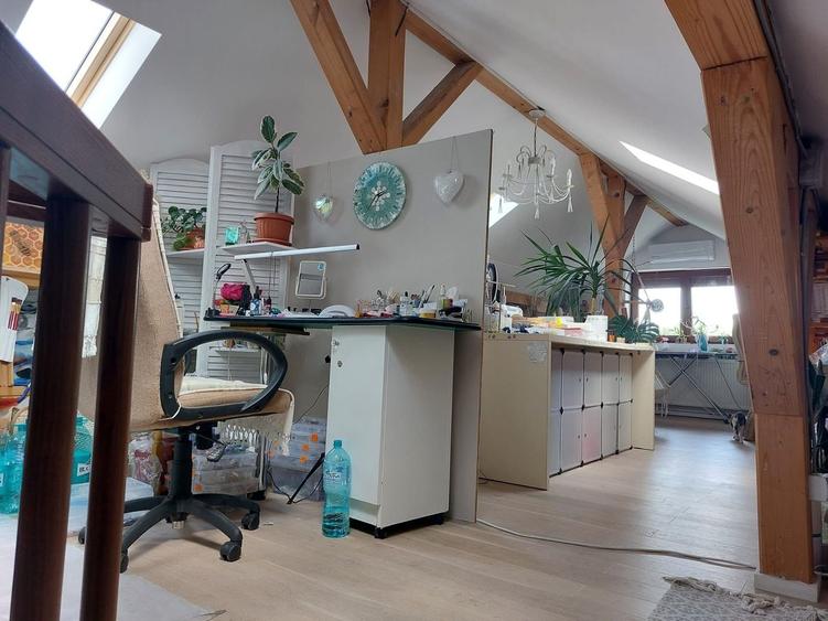 Casa individuala, cu garaj, teren 917 mp, in Andrei Muresanu - 20