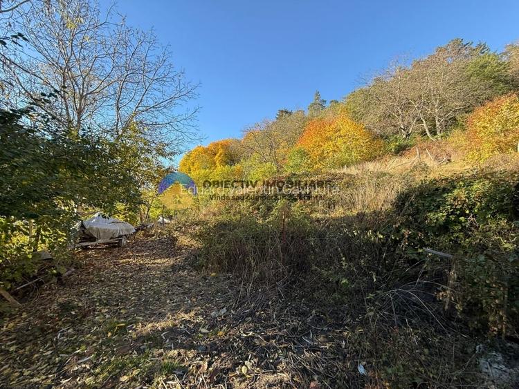 Teren intravilan 1543 mp - zona Darmanesti