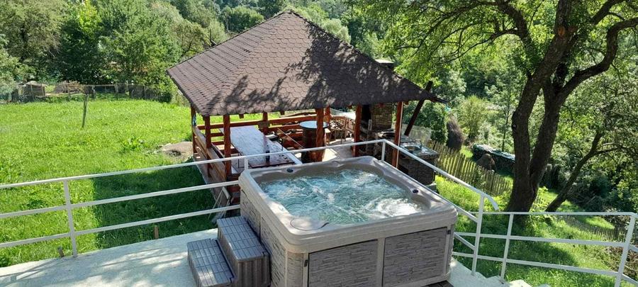 Casa la munte aproape de Paltinul - 1