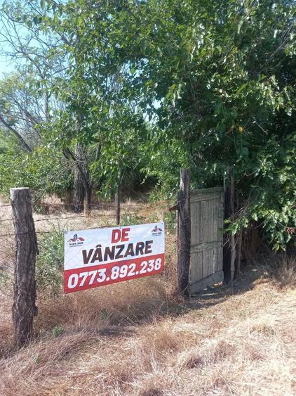 Casa batraneasca Cilibia - 3