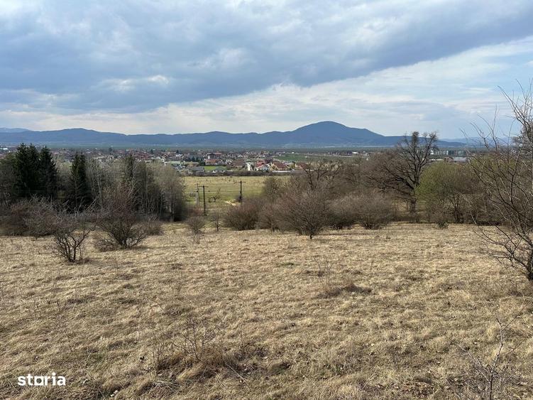Teren extravilan pa?une 6.000 mp Cristian, Bra?ov - 3