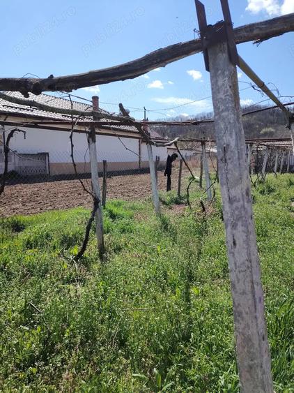 Casa batraneasca de vanzare - 1