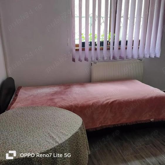 Inchiriez camera la curte - 9