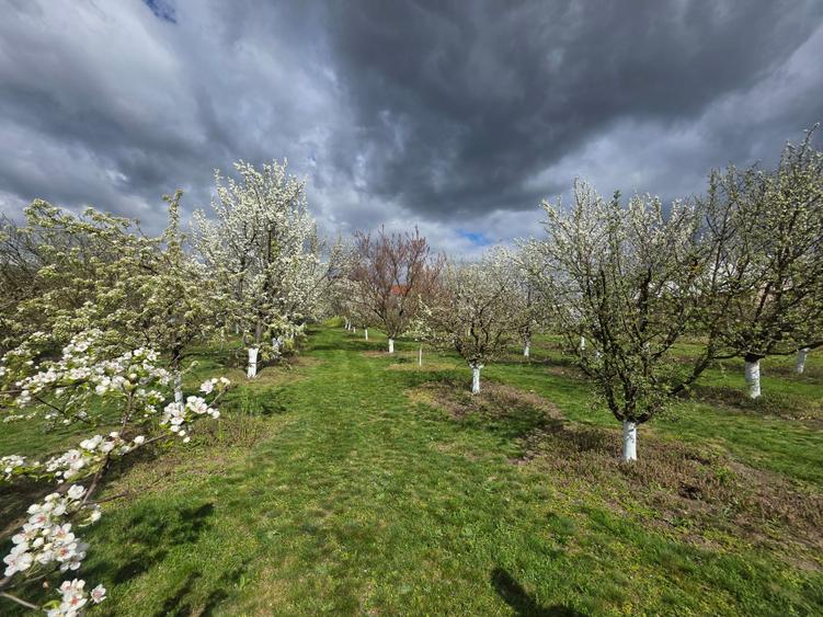 Vand teren intravilan loc.Barsau Hunedoara - 1