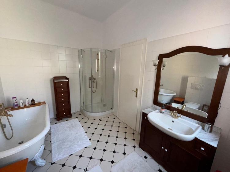 Spatios pentru  locuit si afacere - 15