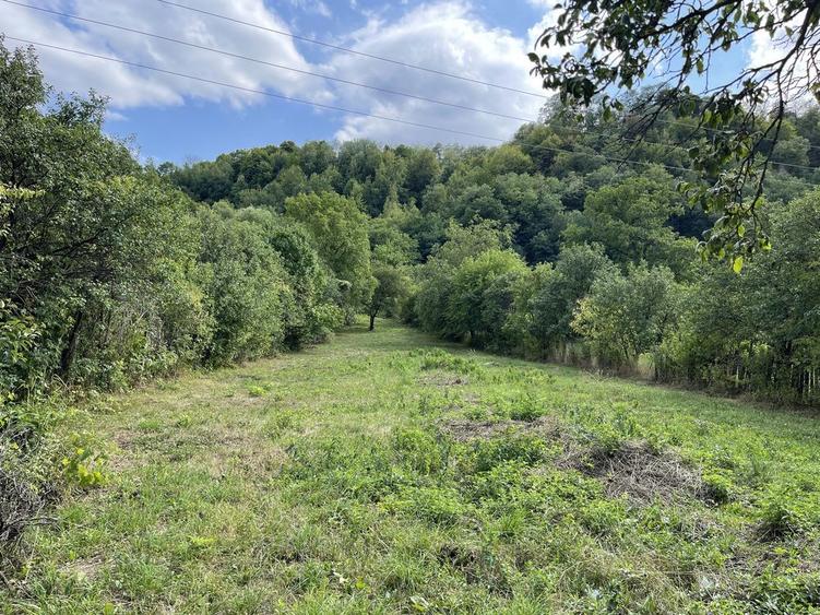 Teren de vanzare Targu Ocna - 3