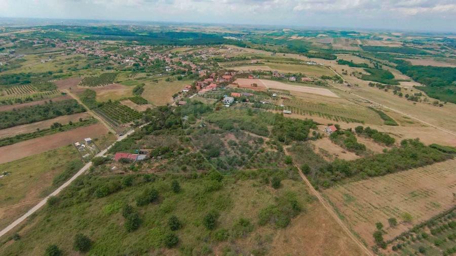 De vânzare Teren 3995mp intravilan Săldabagiu de Munte - 7