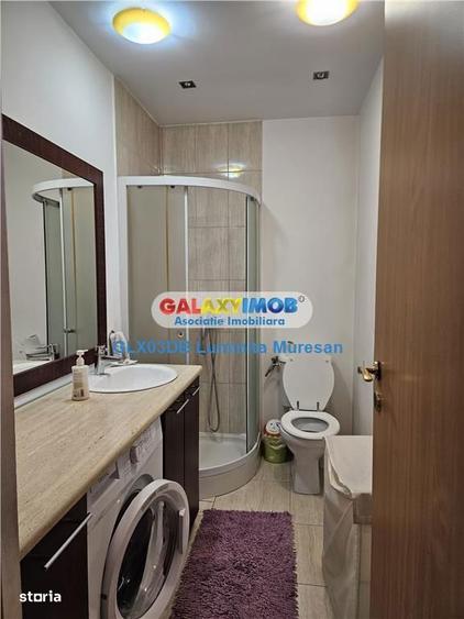 Vanzare casa P + M 5 camere Valea Voievozilor Razvad - 10