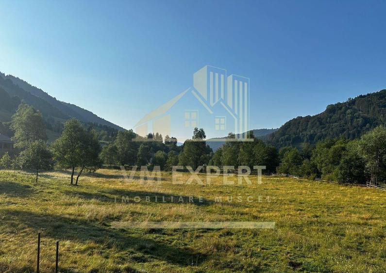 TEREN INTRAVILAN 500 MP SATIC- RUCAR - 17