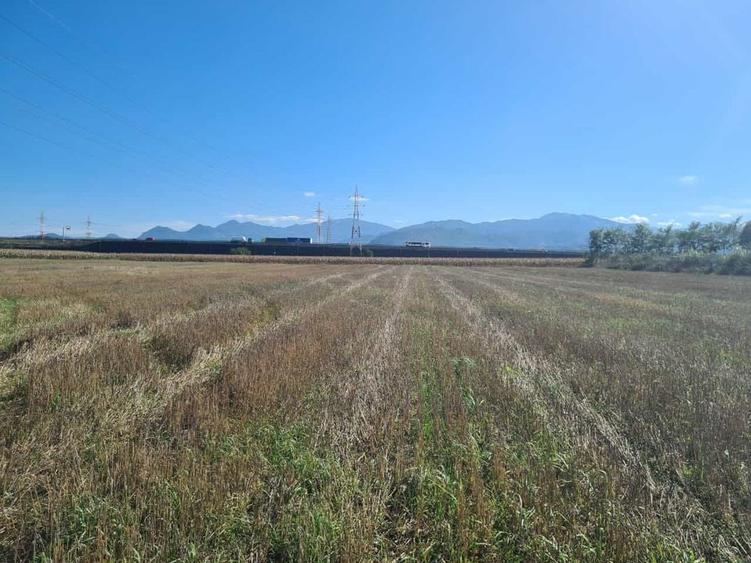 Teren industrial Stupini - 8