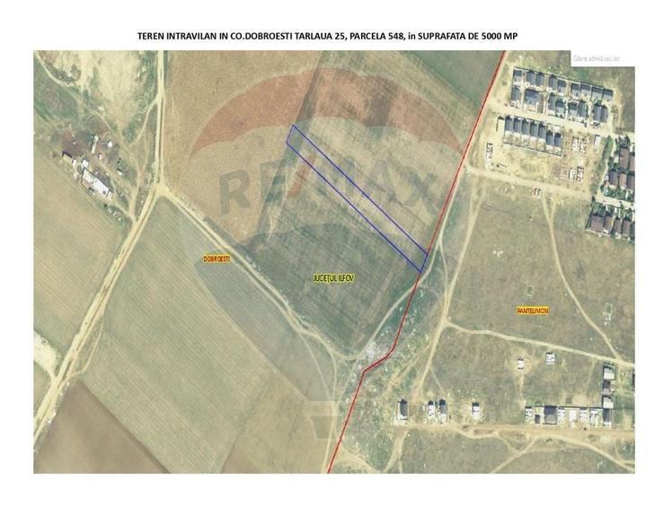 Teren 5,000mp Dobroesti / None - 2