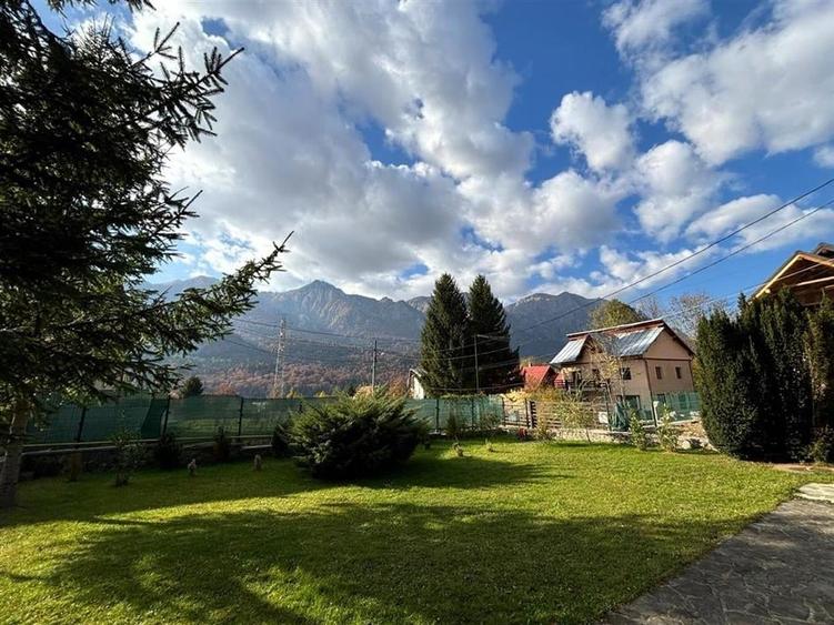 Vila Exclusivista Piatra Arsa Busteni - 18