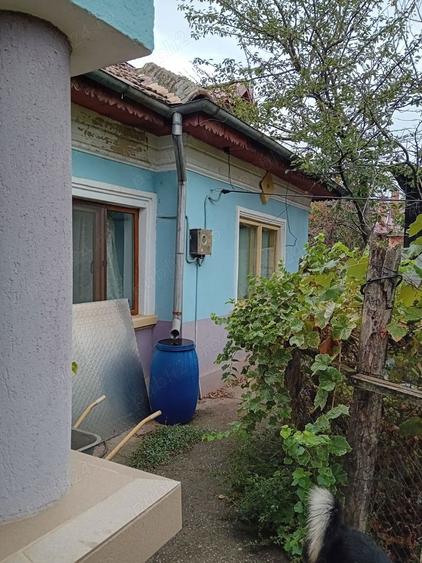 Vand Casa Caracal - 5