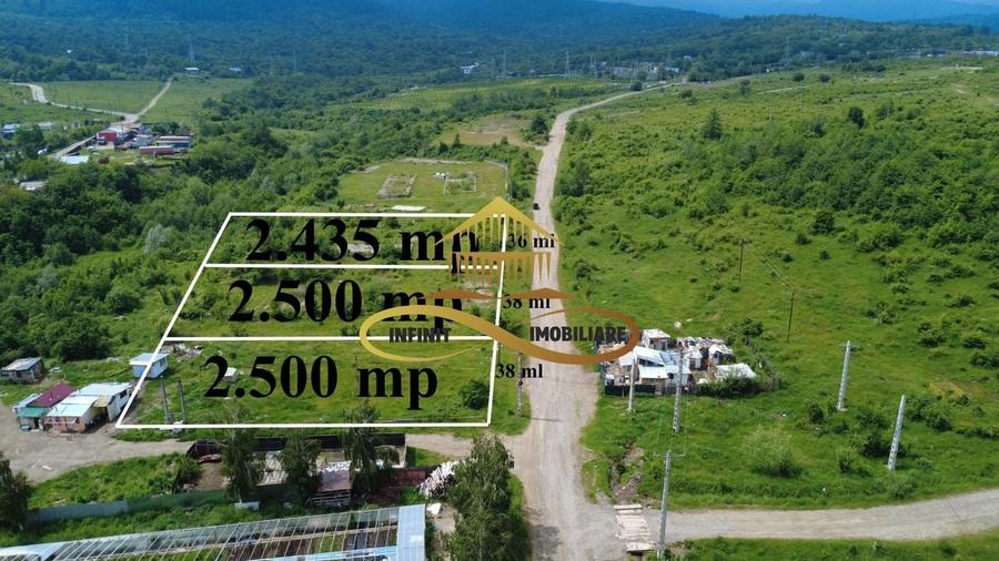 Teren pentru constructie hala indrustriala - Moinesti/Bacau - 2