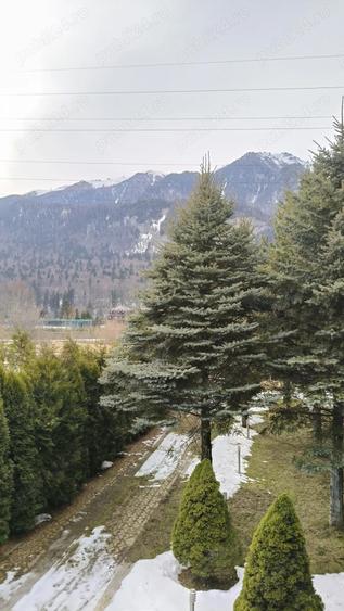 Busteni-Vila de vacanta cu 3 dormitoare,mobilata si utilata - 12