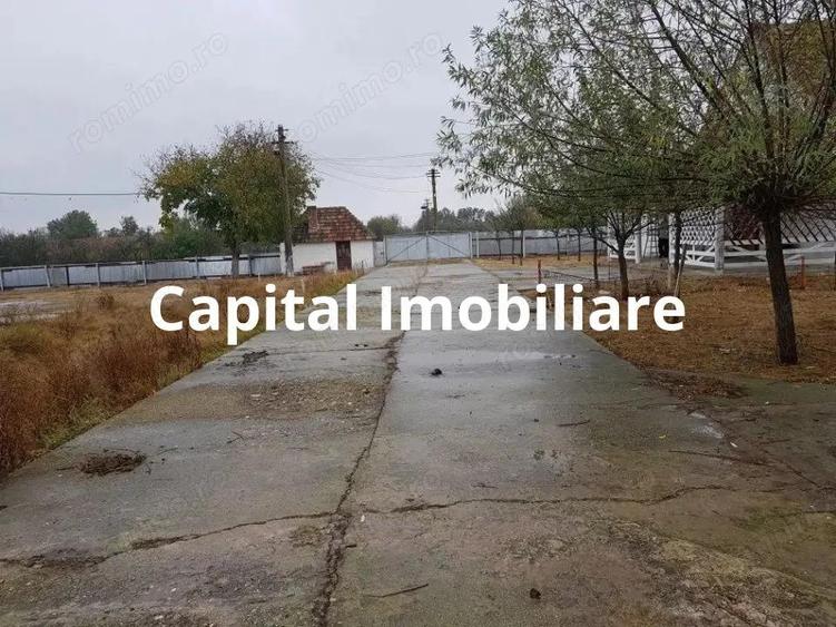 Ferma langa Oravita 5600 mp construiti si teren 24281 intravilan - 8