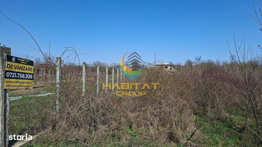 Magurele Campul Cu Maci 1200.MP Teren Constructii Vile - 1