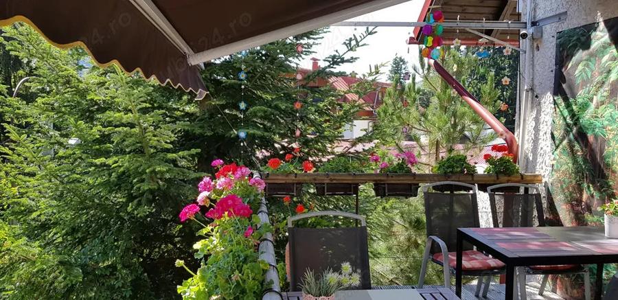 OCAZIE UNICA: Casa cu gradina in cel mai bun loc din Sinaia! Reziden?ial sau Pensiune - Restaurant - 5