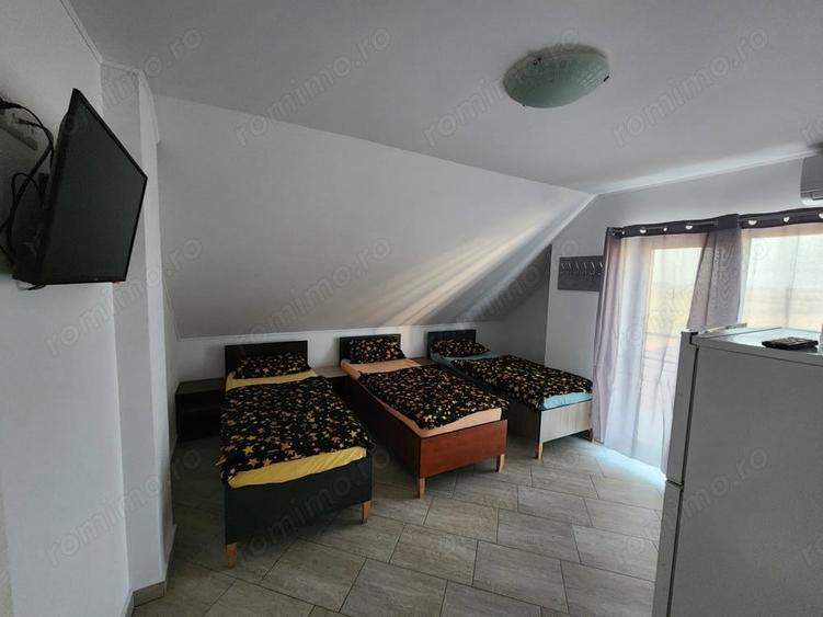 Proprietar Inchiriez Cazare muncitorI LUX la Sanandrei - 6