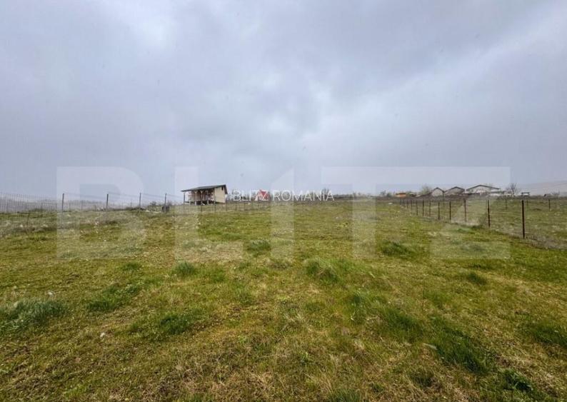 Teren intravilan, 731 mp, proiect de casa autorizat D+P+M, s Teren intravilan, 731 mp, proiect de casa autorizat D+P+M, s