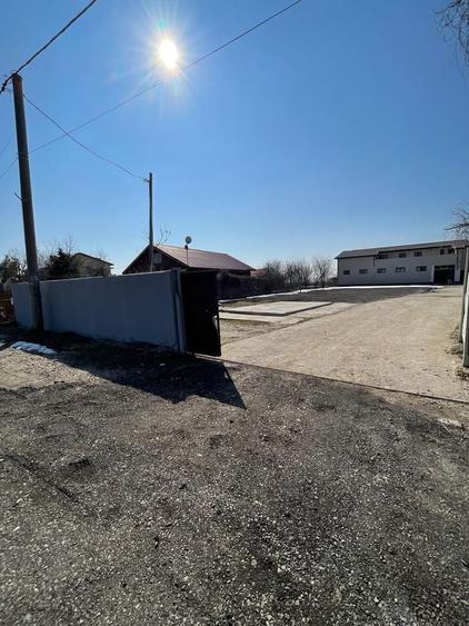 Hala 595 mp + teren 1500 mp Frumusani ( stradal ) - 1