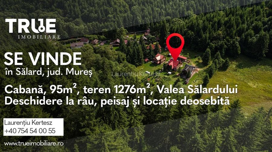 Cabană de vânzare, 95m? utili, teren 1276m?, Sălard!