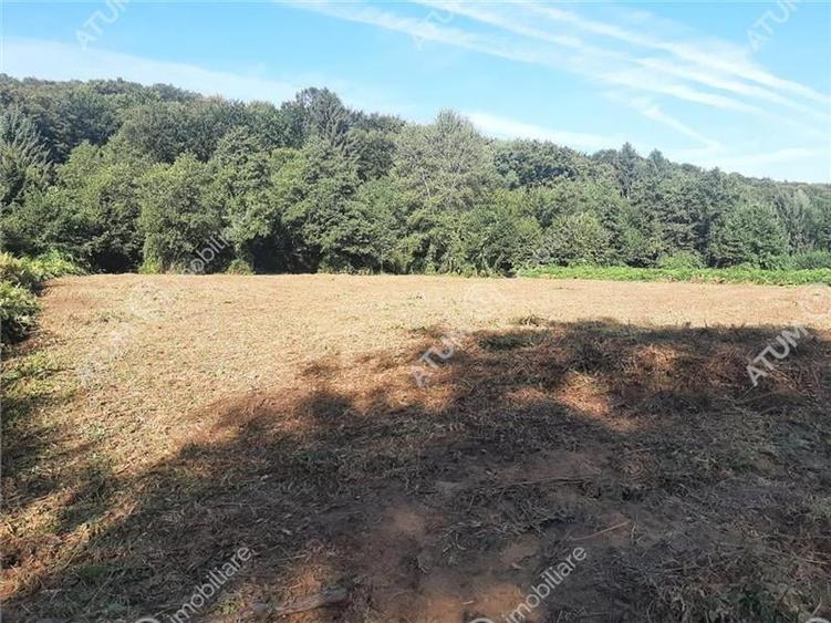 Teren intravilan de vanzare 1856 mp in Avrig zona Valea Avrigului - 2