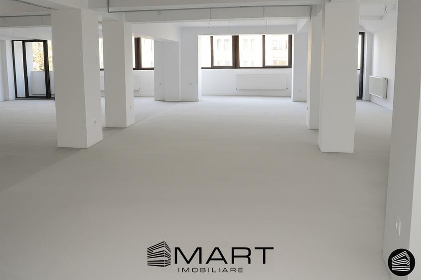 Spatiu birouri & comercial Central - 1