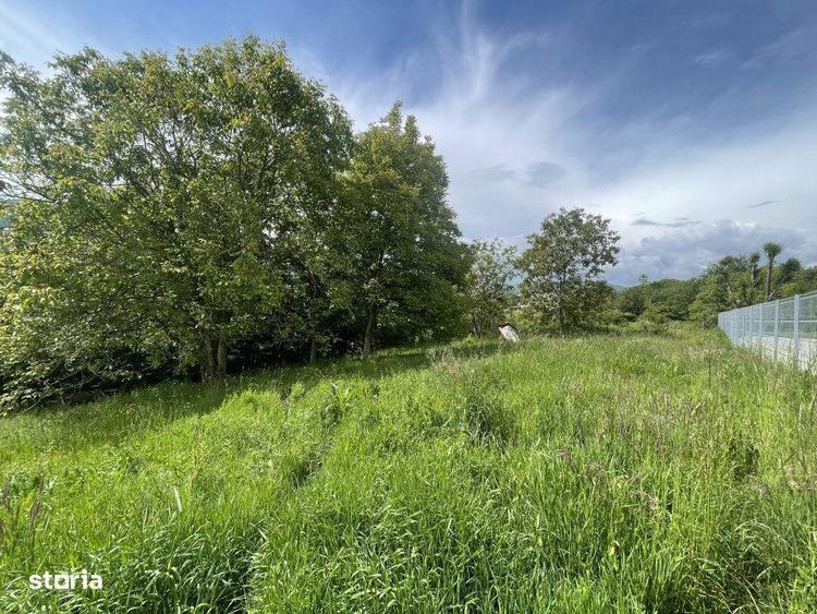 Teren Intravilan 1340mp - Cisnadioara - Sibiu - 5