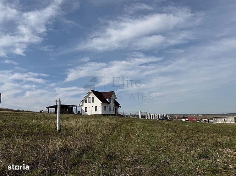 Teren intravilan 700 mp de vanzare in Paleu - 6