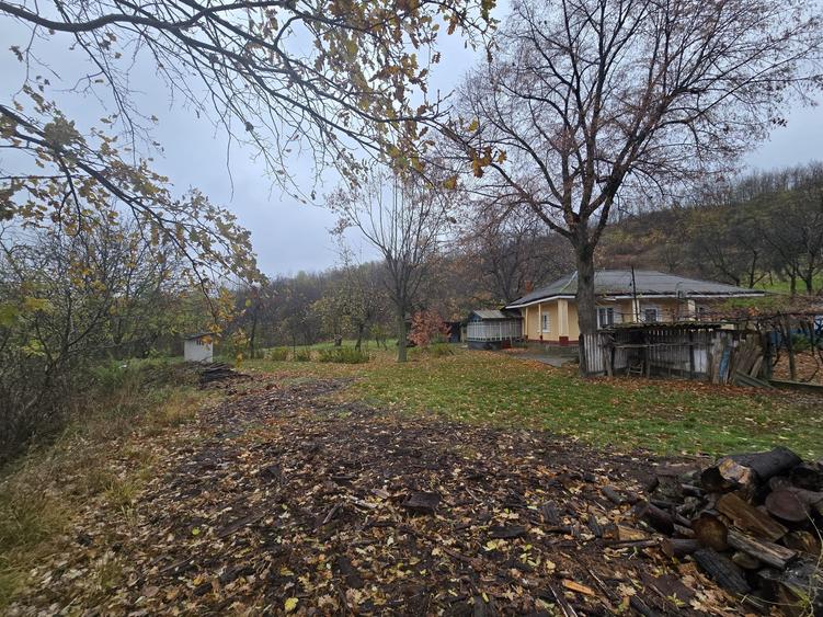 Teren 1000 mp Intravilan - 7