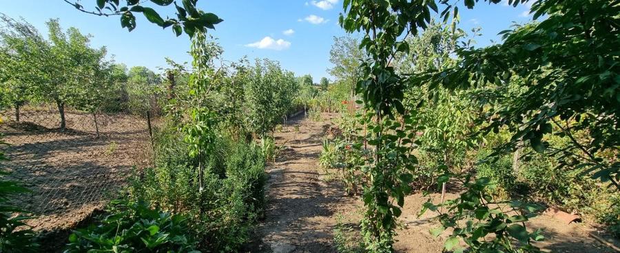 Casa - Caracal Olt - 13