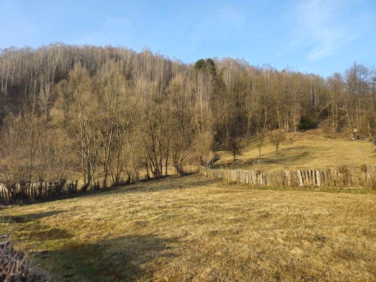 Vand 2 parcele teren intravilan in Petrila - 1