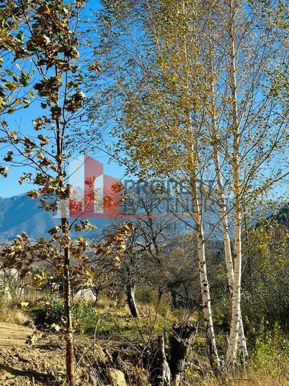 Teren Bran / Predelut cu priveliste 1840mp - 10