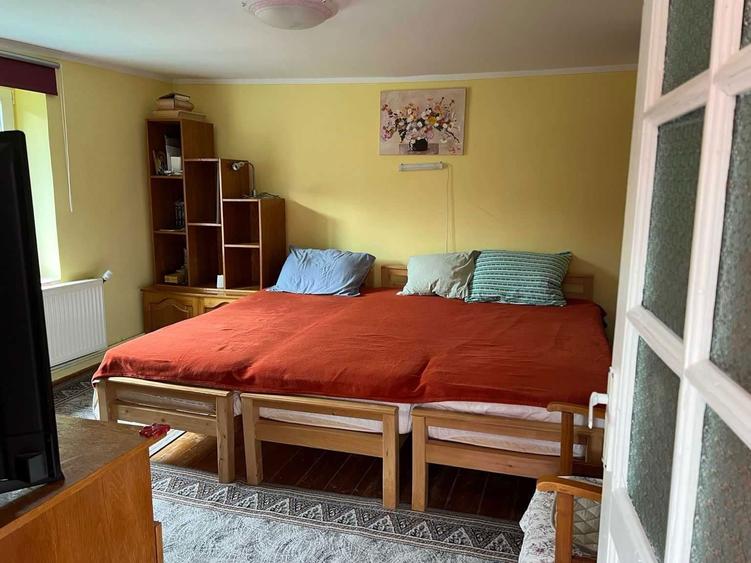 Pret actualizat | Proprietar vand casa la munte cu 6.019 mp teren, gradina, livada, utilitati complete Bacaia (Geoagiu) - 4