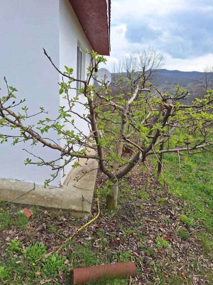 Casa P+M, direct proprietar, teren 2093 mp - 8