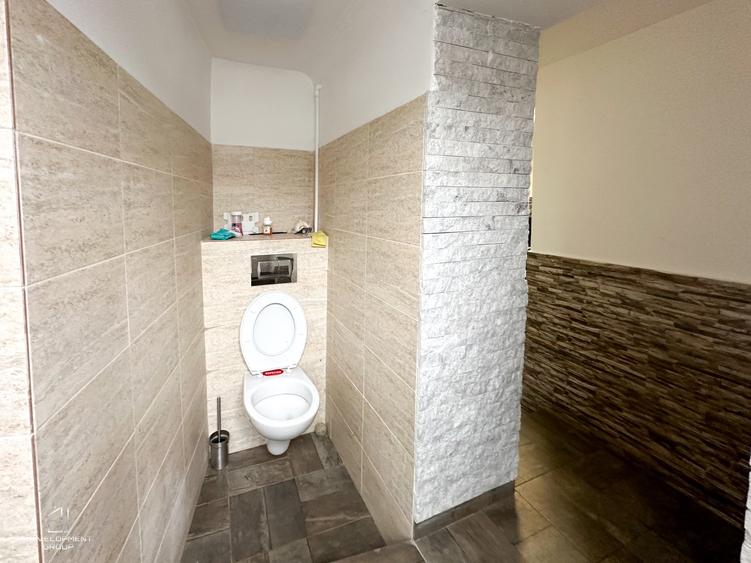 Casa cu teren langa Parcul Carol | 305 mp teren | Toate utilitatile - 20