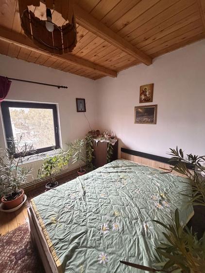 Vand casa de vacanta 27km de Buzau, Valea Parului Beceni - 6